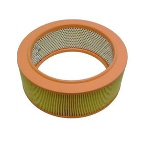 Filtron Ar225 Hava Filtresi