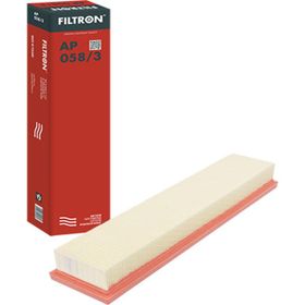 Filtron Citroen C4 1.6 2005-2010 Benzinli Hava Filtresi