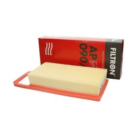 Filtron Citroen C5 3.0 2004-2016 Hava Filtresi