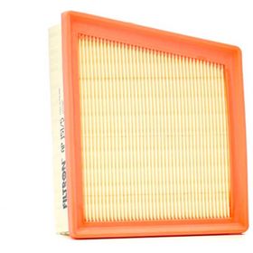 Filtron Ford Fiesta 1.25 2009-2017 Hava Filtresi