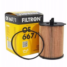 Filtron Ford Focus 2 1.6 TDCI 2004-2007 Dizel Yağ Filtresi