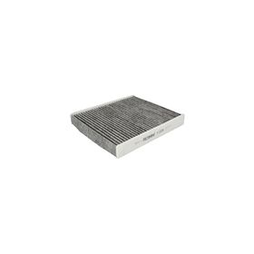 Filtron K1313A Karbonlu Polen Filtresi