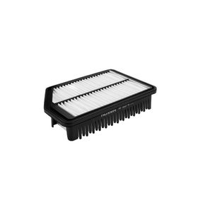 Filtron Kia Ceed 1.6 GDI 2012-2014 Benzinli Hava Filtresi