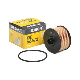 Filtron Nissan Qashqai 1.3 DIG-T 2022-2023 Benzinli Yağ Filtresi