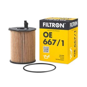 Filtron Peugeot 208 1.4 HDI 2012-2015 Polen Filtresi