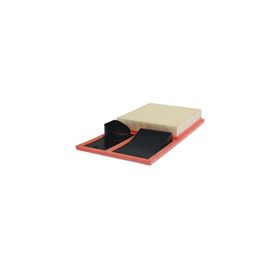 Filtron Seat Ibiza 1.6 BTS 2009-2011 Hava Filtresi