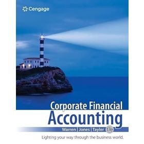 FINANCIAL ACCOUNTING - MEHMET SAYAN
