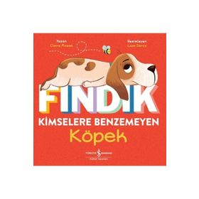 Fındık Kimselere Benzemeyen Köpek - Claire Mowat