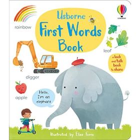 First Words Book-Usborne Publishing