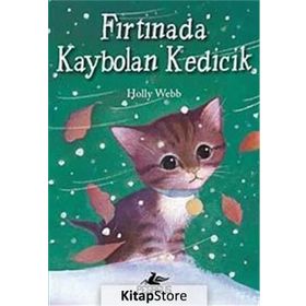 Fırtınada Kaybolan Kedicik - Holly Webb