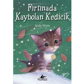Fırtınada Kaybolan Kedicik - Holly Webb
