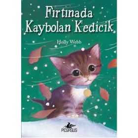 Fırtınada Kaybolan Kedicik - Holly Webb