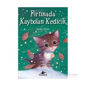 Fırtınada Kaybolan Kedicik - Holly Webb