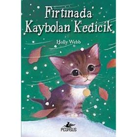 Fırtınada Kaybolan Kedicik - Holly Webb
