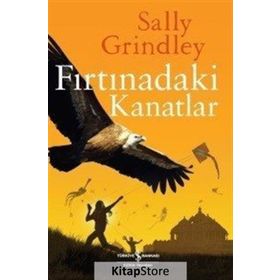 Fırtınadaki Kanatlar - Sally Grindley