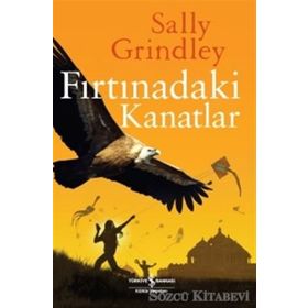 Fırtınadaki Kanatlar - Sally Grindley