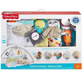 Fisher Price GKD45-GM10 Perfect Sense Delüks Jimnastik Merkezi