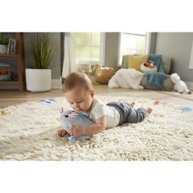Fisher Price GRT91 Sevimli Mors Uyku Arkadaşım Oyuncağı