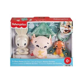 Fisher Price HRB17 Duyuları Harekete Geçiren Oyun Seti