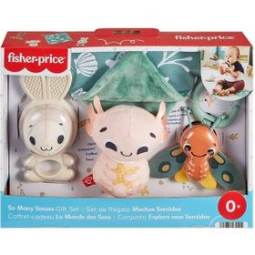 Fisher Price HRB17 Duyuları Harekete Geçiren Oyun Seti