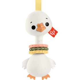 Fisher Price HRB22 Sensimals Dişlik Seti