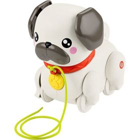 Fisher Price HTW94 Sesli Minik Dostumla Yürüyüş