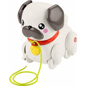 Fisher Price HTW94 Sesli Minik Dostumla Yürüyüş