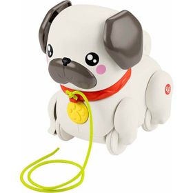 Fisher Price HTW94 Sesli Minik Dostumla Yürüyüş