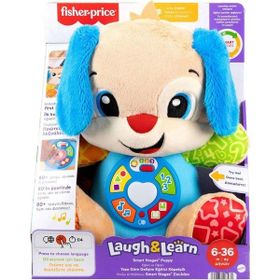 Fisher Price JFD25 Eğitici Köpekçik