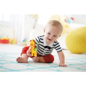 Fisher Price MATCGR92 Çıngırak Zürafa