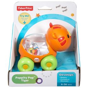 Fisher Price Poppity Araçlar Aslan