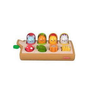 Fisher Price Sürprizli Oyuncaklar