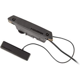 Fishman Powertap PRO-REP-104 Earth Soundhole Manyetik