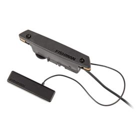 Fishman Powertap PRO-REP-104 Earth Soundhole Manyetik