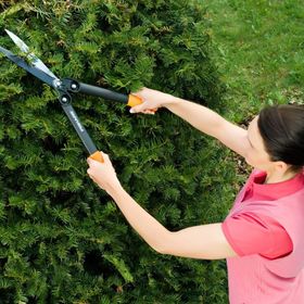 Fiskars 114790 Çit Makası