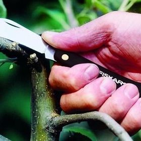 Fiskars K62 Kancalı 170 mm Aşı Bıçağı