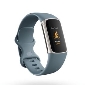 Fitbit Charge 5 Mavi Platin Akıllı Bileklik