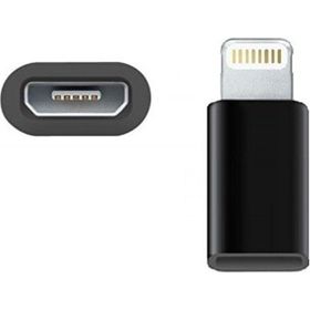 FitPlus Micro to Lightning Çevirici Siyah Adaptör