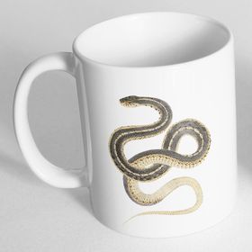 Fizello Snake Kupa Bardak