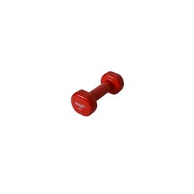 Fizyofiplus Vinyl 1 kg Kırmızı Dambıl