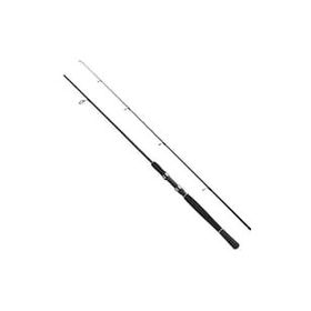 Fladen 10-30 gr 2 Parça 240 cm Xtra Flexx Spin Kamış