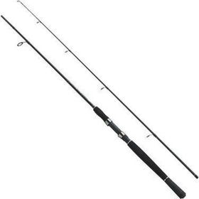 Fladen 2P 240 cm 10-30 gr Xtra Flexx Spın Kamış
