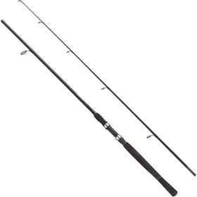 Fladen Charter 2 Parça 210 10-30 gr Spin Kamış