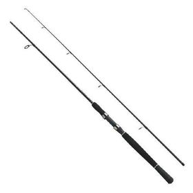 Fladen Xtra Flexx 165 cm 40-80 gr Aksiyonlu Spin Kamışı