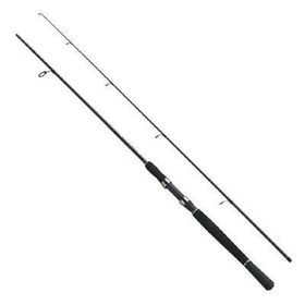 Fladen Xtra Flexx 165 cm 40-80 gr Aksiyonlu Spin Kamışı