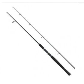 Fladen Xtra Flexx 180 40-80 gr Spin Kamış
