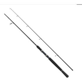 Fladen Xtra Flexx 180 40-80 gr Spin Kamış