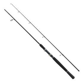 Fladen Xtra Flexx 240 cm 50-100 gr Spin Kamışı