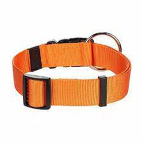 Flamingo 55-75 cm Turuncu Köpek Boyun Tasması