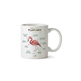 Flamingo Anatomisi Flamingo Anatomy Baskılı Kupa